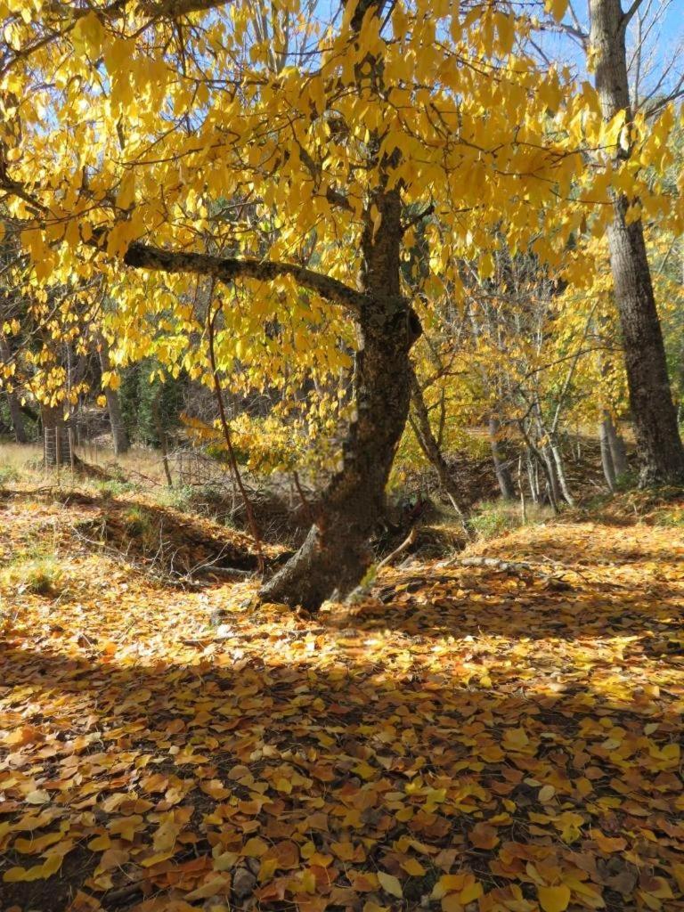 Alojamiento Yolanda Cazorla Buitenkant foto